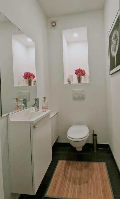 Le Cocon Du Midi - Appartement Cosy ブリュッセル エクステリア 写真